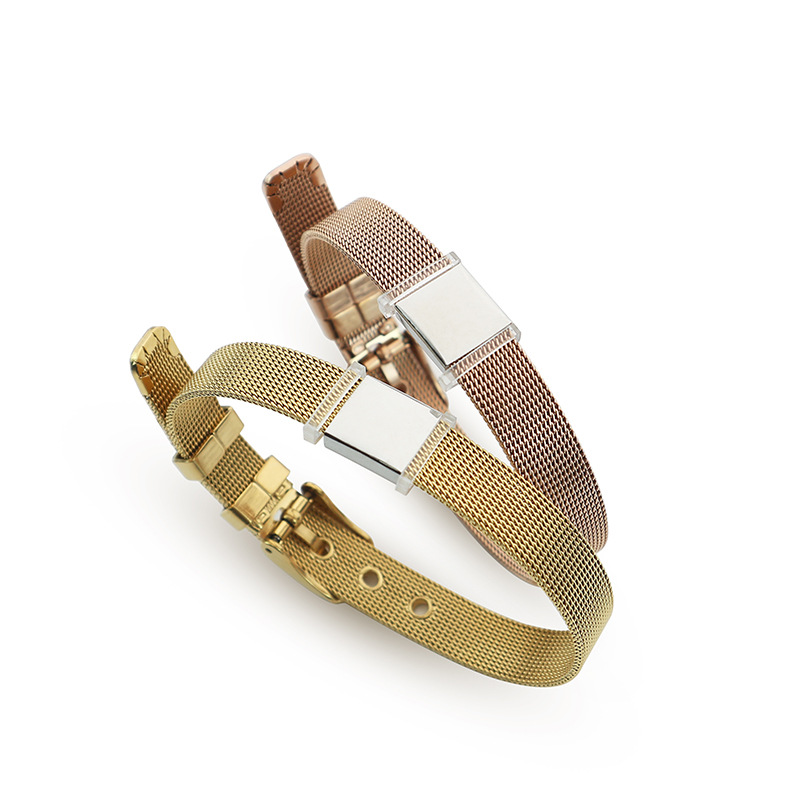 DINGLLY 10mm High Quality Stai - Mesh Strap Metal recension och pris